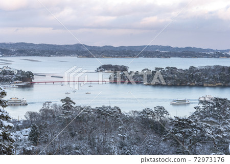 雪沒有鬆島 72973176
