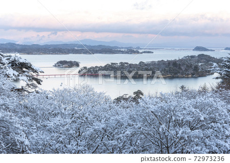 Snow no Matsushima 72973236