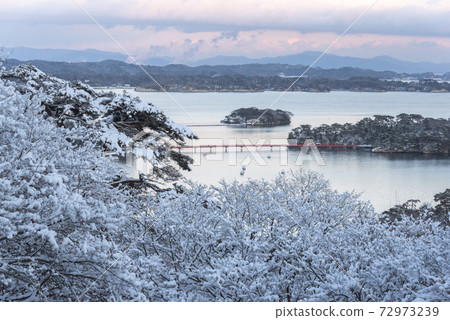 雪沒有鬆島 72973239