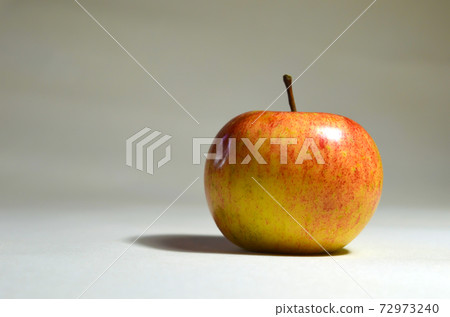 Apple on a gray background Apple on a gray background 72973240