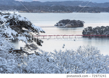 雪沒有鬆島 72973241