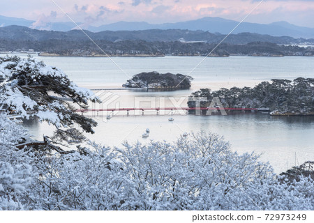 Snow no Matsushima Snow no Matsushima 72973249