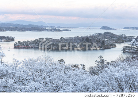雪沒有鬆島 雪沒有鬆島 72973250