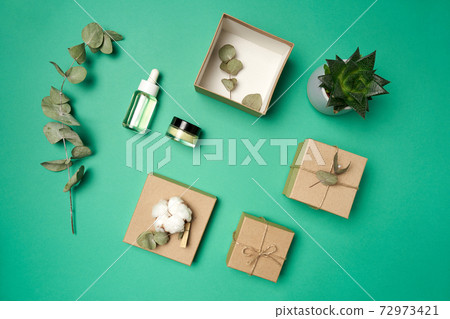 Flat lay boxes, dry eucalyptus leaves, cotton, cosmetic bottle, jar, succulent Flat lay boxes, dry eucalyptus leaves, cotton, cosmetic bottle, jar, succulent 72973421