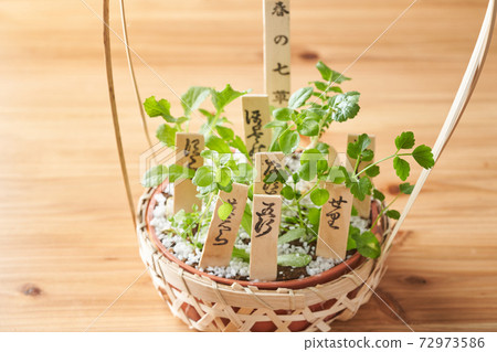 Seven herbs of spring 72973586