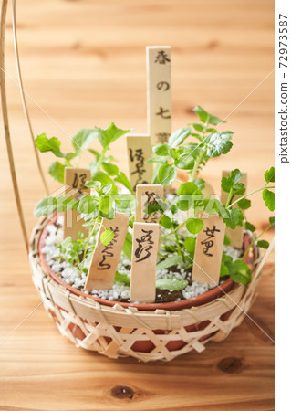 Seven herbs of spring 72973587