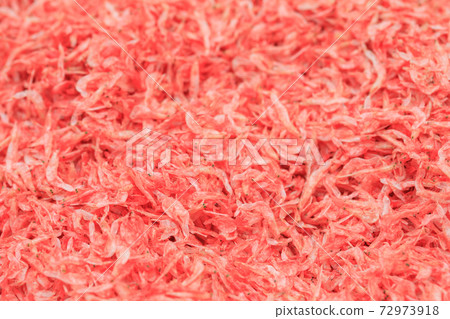 Image of sakura shrimp 72973918