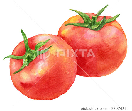 Watercolor two tomatoes Watercolor two tomatoes 72974213