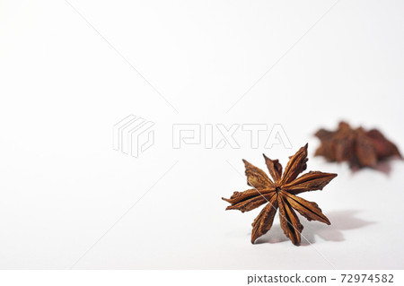 Brown shikimi shell Brown shikimi shell 72974582