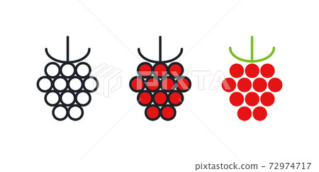 Raspberry icon. Linear color icon, contour, shape, outline. Thin line. Modern minimalistic design. Vector set. Illustrations of fruits 72974717