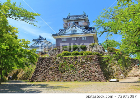 [Fukui Prefecture] Fresh green Echizen Ono Castle 72975087