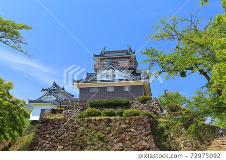 [福井縣]新鮮的綠色越前小野城 72975092