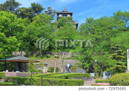[福井縣]陽光明媚的新鮮綠色丸岡城 72975093