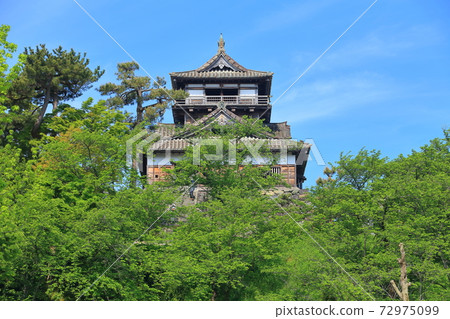 [福井縣]陽光明媚的新鮮綠色丸岡城 72975099