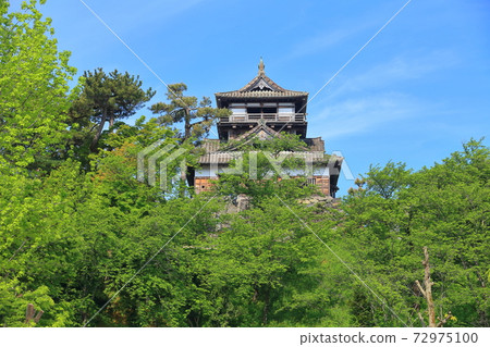 [福井縣]陽光明媚的新鮮綠色丸岡城 72975100