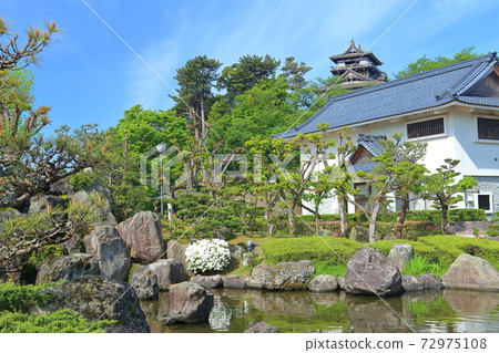 [福井縣]陽光明媚的新鮮綠色丸岡城 72975108