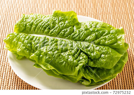 三楚（經常被捲起烤肉吃的蔬菜） 72975232