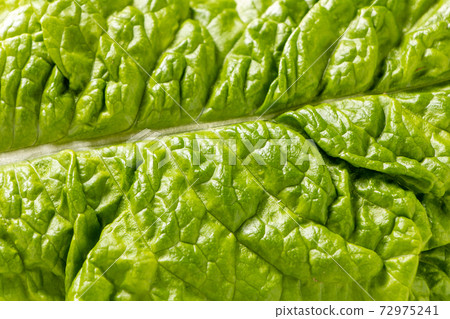 Sanchu（一種經常被捲成烤肉吃的蔬菜）的混合物。 72975241