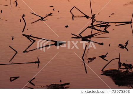 倫孔場的反思 72975868