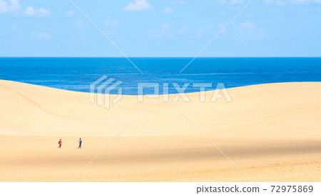 Tottori sand dunes 72975869