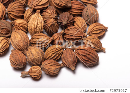 Heap of amomum villosum Lour dried fruit 72975917