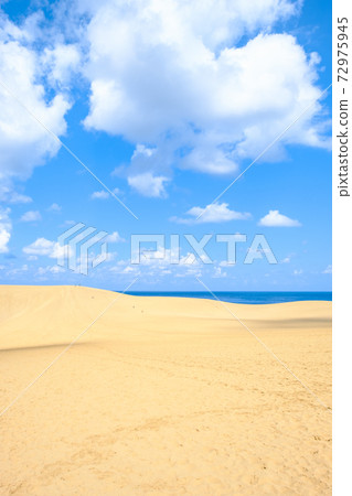 Tottori sand dunes Tottori sand dunes 72975945