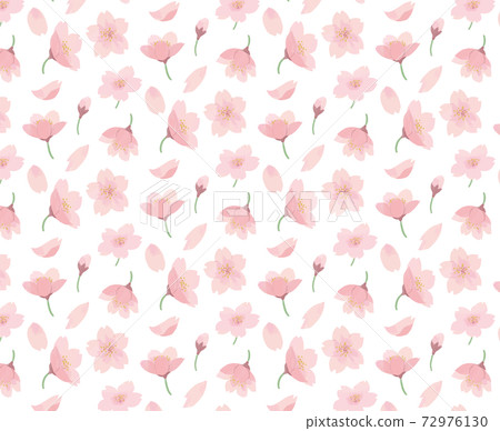 Sakura white background watercolor hand-painted - Stock Illustration ...