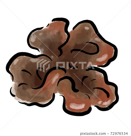 Kikurage Illustration Watercolor Brush Hand-painted Kikurage Illustration Watercolor Brush Hand-painted 72976534