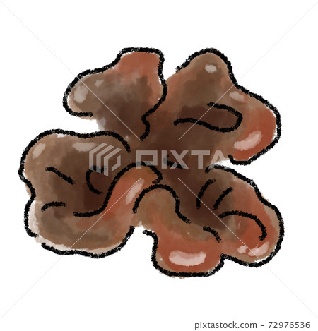 Kikurage Illustration Watercolor Hand-painted Kikurage Illustration Watercolor Hand-painted 72976536