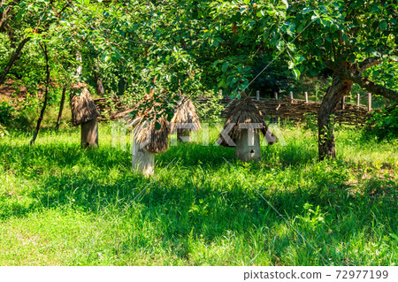 Ancient wooden beehives in old rural apiary 72977199