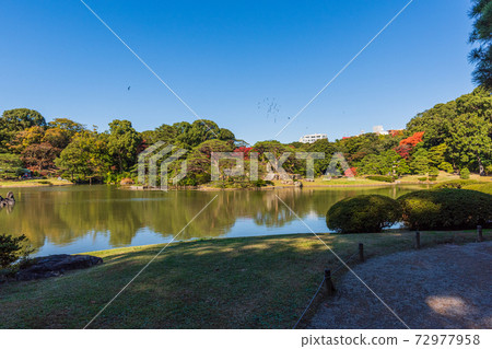 東京花園之旅，風景秀麗的本鄉駒o六園 72977958