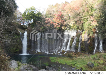 Shiraito瀑布 Shiraito瀑布 72978838