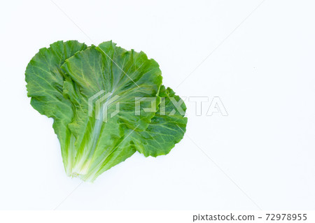 Lettuce leaves on white background. Top view 72978955