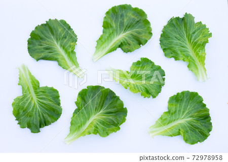 Lettuce leaves on white background. Top view 72978958
