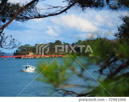 [宮城縣]日本松島的三個觀點 72981066