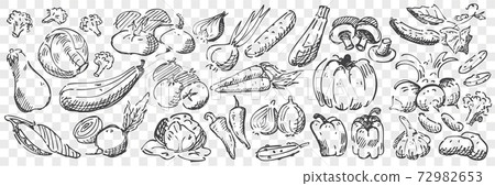Hand drawn vegetables doodle set 72982653