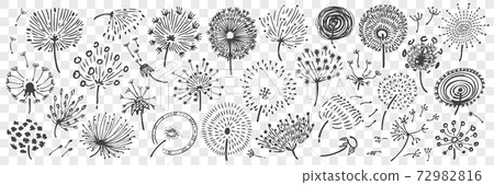 Hand drawn dandelion doodle set. Hand drawn dandelion doodle set. 72982816