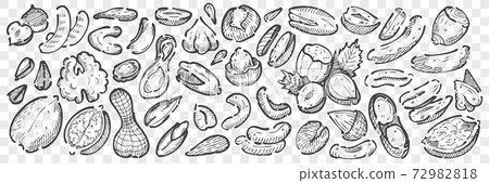 Hand drawn nuts doodle set Hand drawn nuts doodle set 72982818