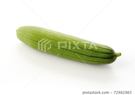 Loofah Loofah 72982865