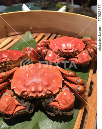 上海蟹 照片素材 圖片 7295 圖庫