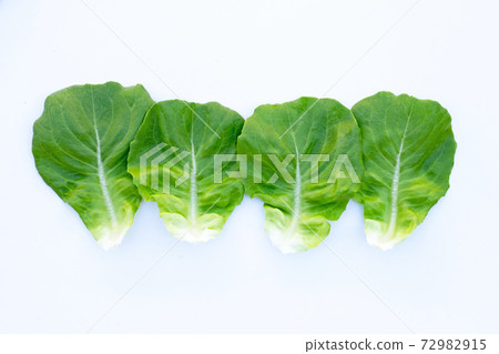 Lettuce leaves on white background. 72982915