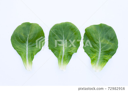 Lettuce leaves on white background. 72982916