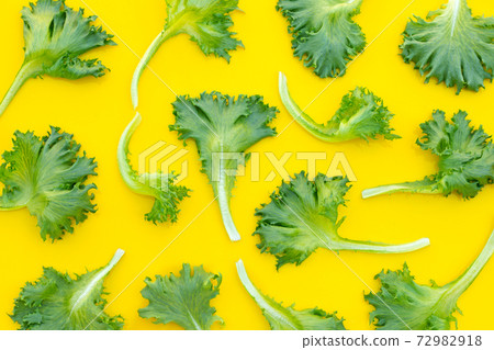 Fresh frillice iceberg lettuce on yellow background. 72982918