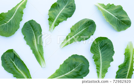 Lettuce leaves on white background. Top view 72982920