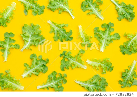 Green oak lettuce leaves on yellow background. Top view 72982924
