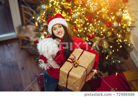 The girl with a gift and a small dog at Christmas tree The girl with a gift and a small dog at Christmas tree 72986886