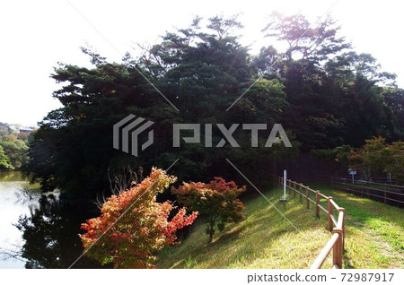山中之池公園的步行道 72987917
