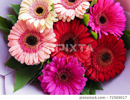 Gerbera flowers bouquet. Floral background. 72989017