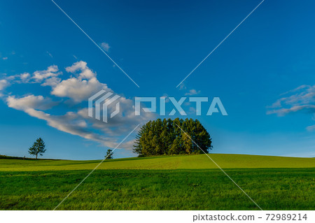 Another Mild Seven Hills landscape 72989214