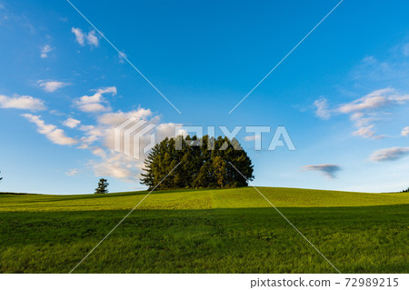 Another Mild Seven Hills landscape 72989215